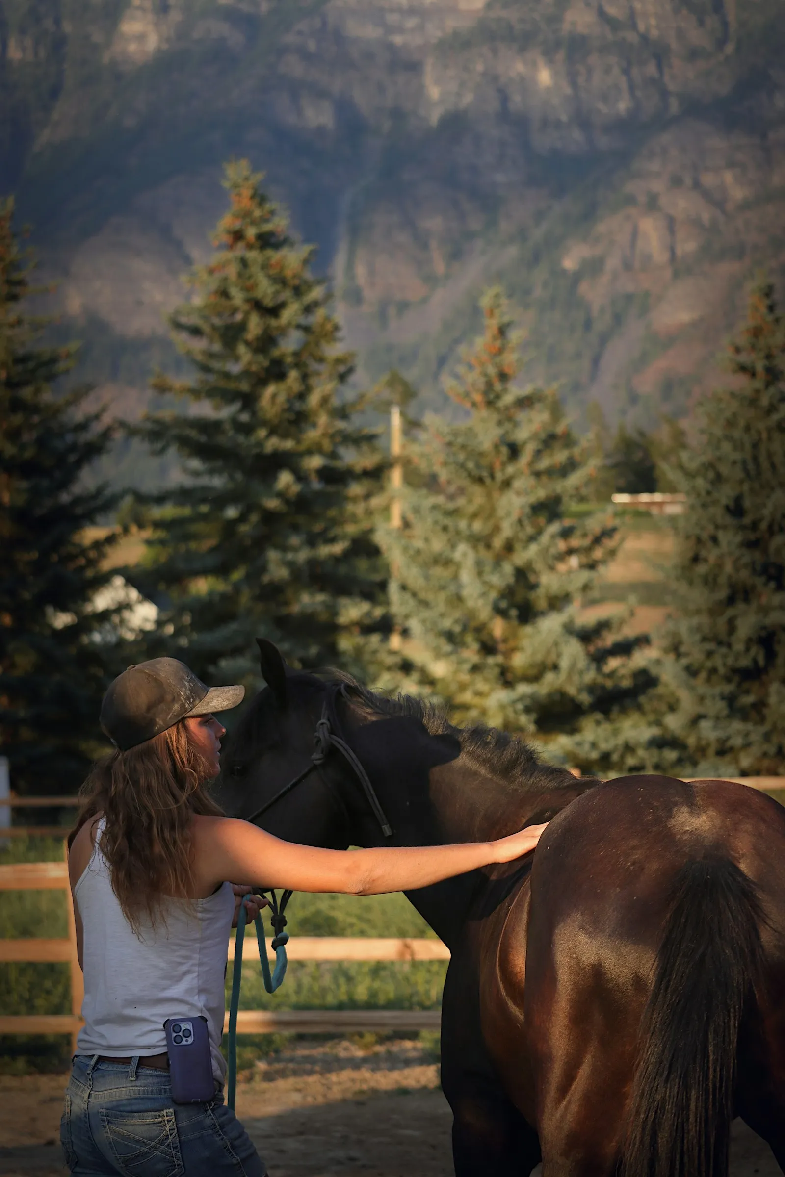 A woman calmly stroking a horse’s neck outdoors in warm evening light